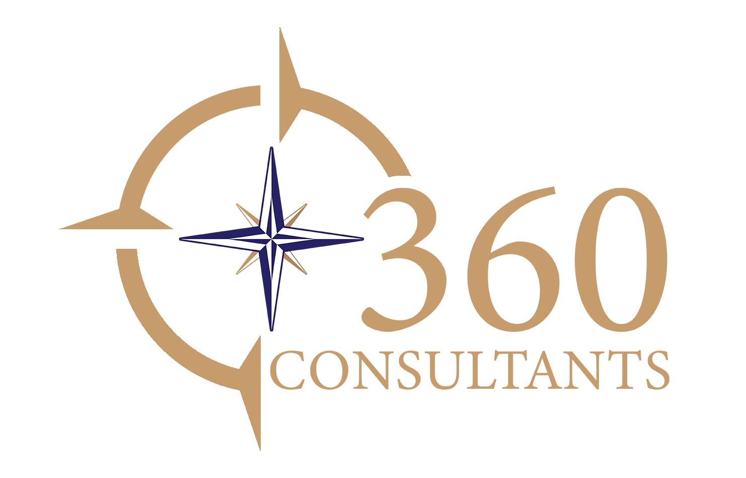 360 consultants small gold